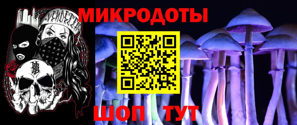 Псилоцибиновые грибы прущие грибы Заволжье
